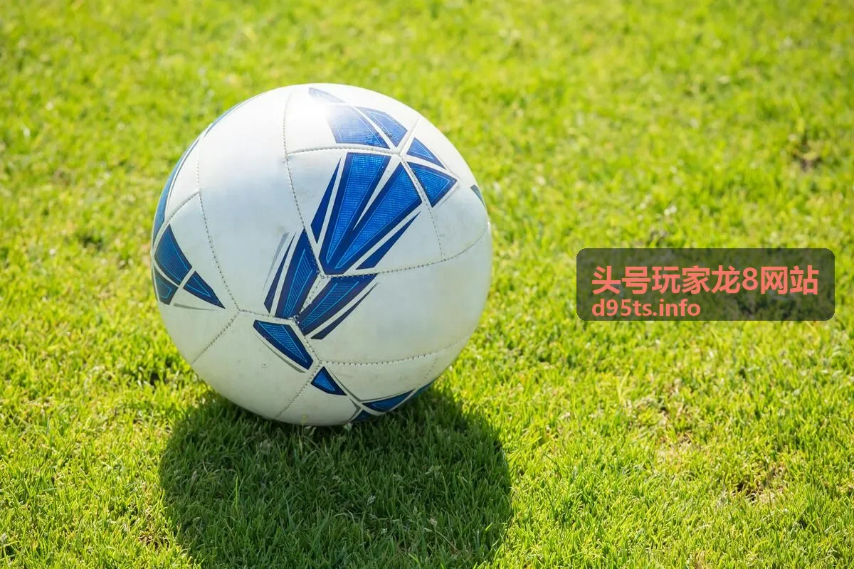 头号玩家龙8网站平台指南文章封面图